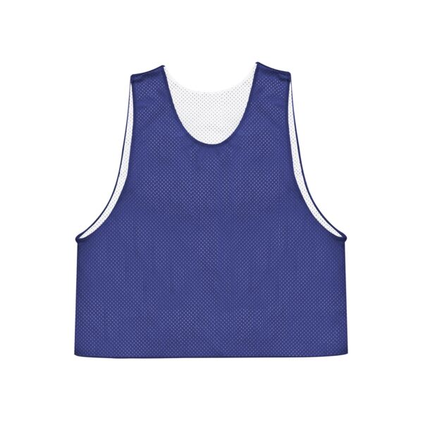 Foundersport Reversible Mesh Pinnie Thumbnail