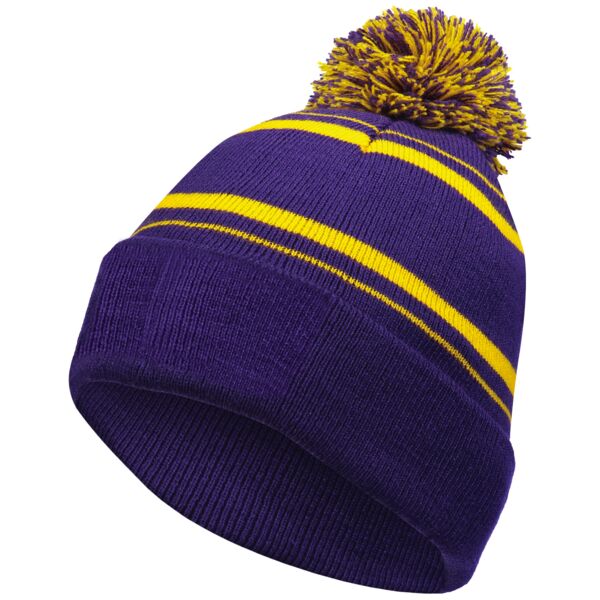 Homecoming Beanie Thumbnail