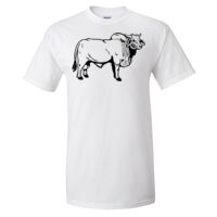 Gildan Ultra Cotton T-Shirt Thumbnail