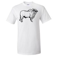 Gildan Ultra Cotton T-Shirt Thumbnail