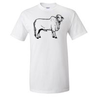 Gildan Ultra Cotton T-Shirt Thumbnail