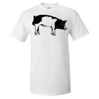 Gildan Ultra Cotton T-Shirt Thumbnail