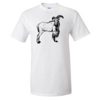 Gildan Ultra Cotton T-Shirt Thumbnail