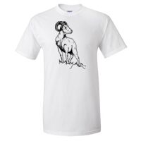 Gildan Ultra Cotton T-Shirt Thumbnail