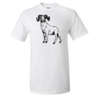 Gildan Ultra Cotton T-Shirt Thumbnail