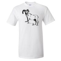 Gildan Ultra Cotton T-Shirt Thumbnail