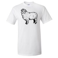 Gildan Ultra Cotton T-Shirt Thumbnail