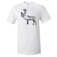 Gildan Ultra Cotton T-Shirt Thumbnail